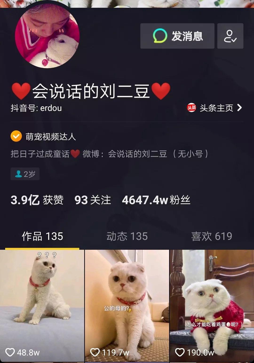 从猫爪杯到噬元兽,谈谈猫咪营销