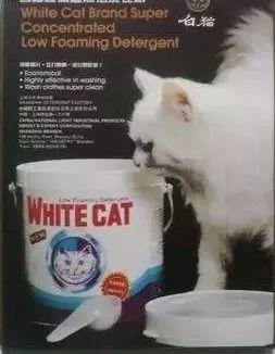 从猫爪杯到噬元兽,谈谈猫咪营销